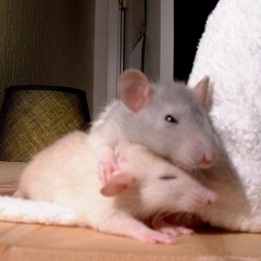 Aw buddy let me give you a hand