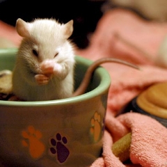 I'm busy washing my face, here