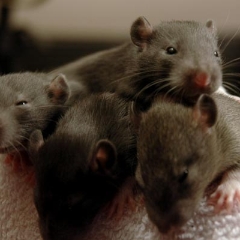 Four friends looking for adventure