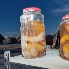 Weird dolls in jars