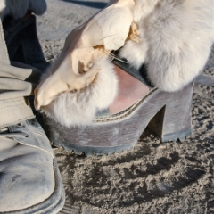 Real fur on sandal
