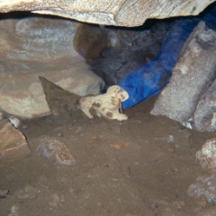 A tight squeeze