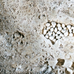 Cave pearls at Crystal Sequoia Cave