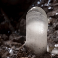 Lavatube ice