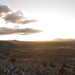Sunset landscape