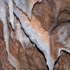 Decorated formation 