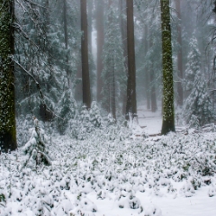 Lilburn Cave snow