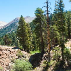 Mineral King mountains