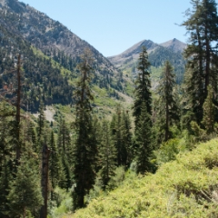 Mineral King mountains