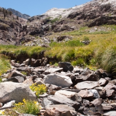 Mineral King stream