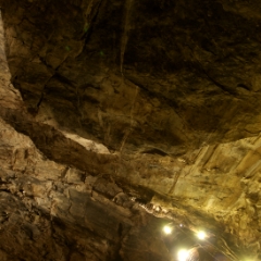 Ceiling view