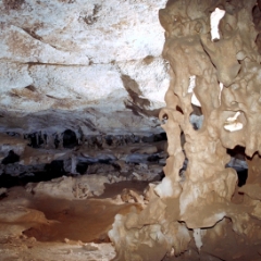 Detailed column