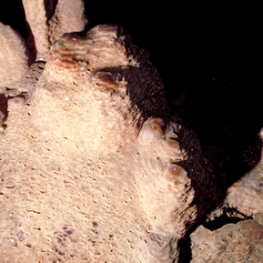 Stalagmites forming