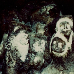 Mona Island Petroglyphs