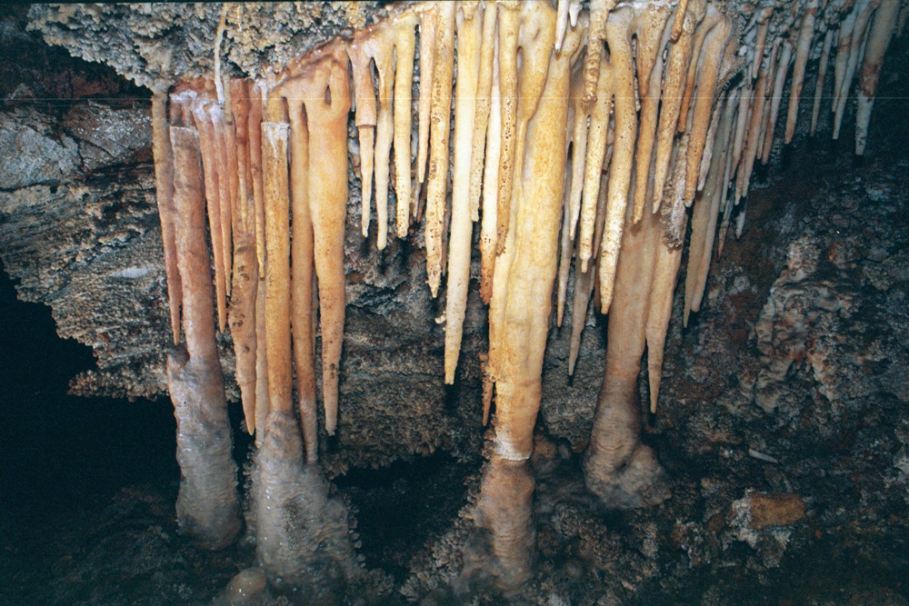 Palmers Cave, California photograph. 
