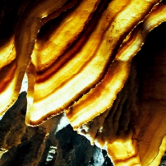 Cave bacon lit from behind