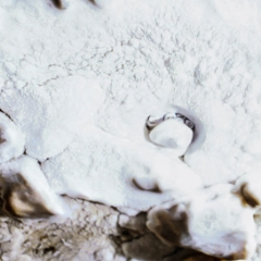 Cave pearls