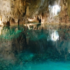 Fish in a lake at Cenote Aktun Chen