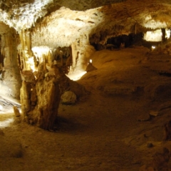 Formations in Cenote Aktun Chen