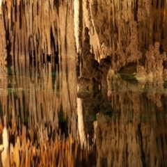 Reflection and formations in Aktun Chen
