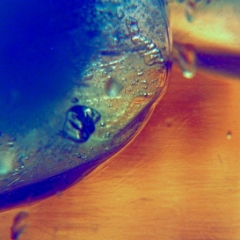 Ice cubes in apple juice