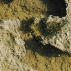 Mud and bubbles