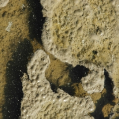 Mud  and bubbles