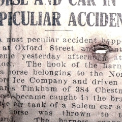 Horse and car in peculiar accident