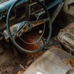 Abandoned car front seat