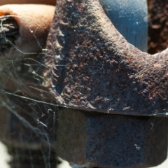 Colorful rust macro