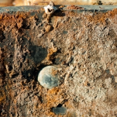 Rust closeup detail