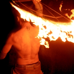Dragonbutterfly
