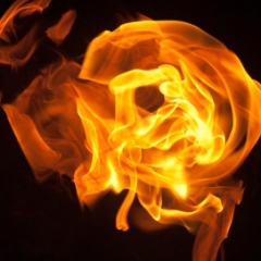 Some sort of fire blossom