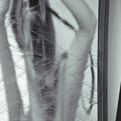 Portrait in a cracked mirror