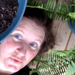 Fern attack