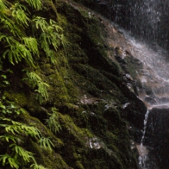 Waterfall in Big Basin