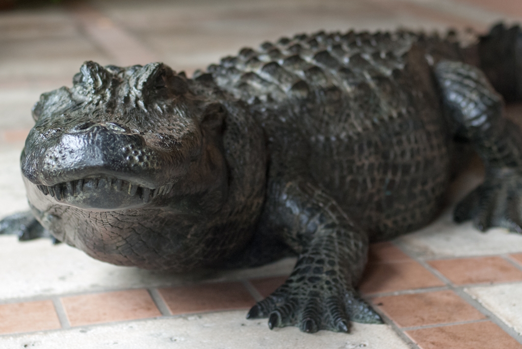 Florida photograph. 