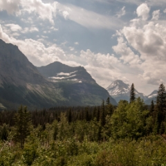 Mountain scenery on going-to-the-sun road