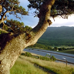 Route 280 overlook